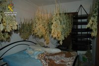 Desmantelan una vivienda que servía como secadero y punto de venta de marihuana en Torvizcón (Granada)