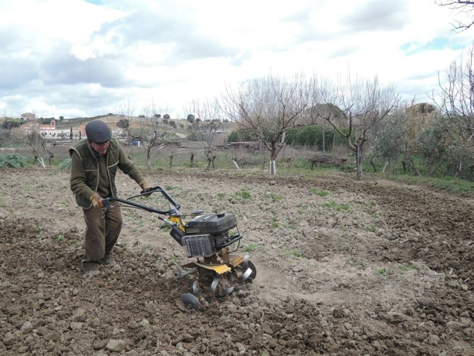 Trabajador agrario, trabajo agrario, cultivar, cultivo, cultivando, cultivos