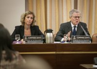 Albella defiende que fue "correcto" no suspender la cotización y las posiciones cortas de Popular