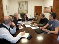 Cort y Consell de Mallorca se reúnen este viernes con el Ministerio de Cultura por la torres de alta tensión de Son Puig