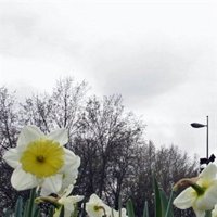 El tiempo en Extremadura para hoy viernes, 12 de enero de 2018