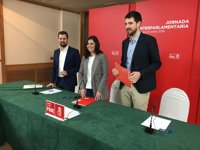 Tudanca ve en el recorte del 50% gasto público un "nuevo mazazo" a los servicios públicos y la financiación local