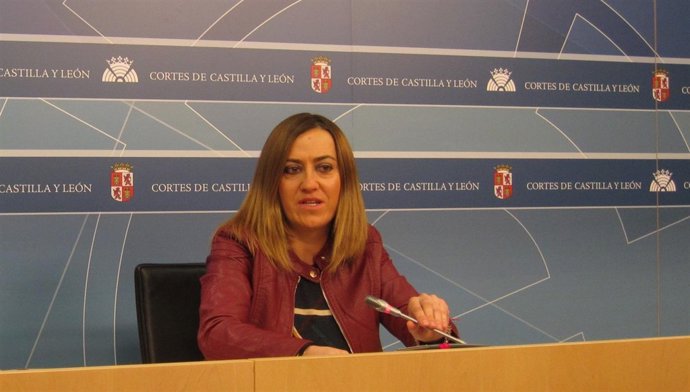 La viceportavoz del Grupo Socialista en las Cortes, Virginia Barcones