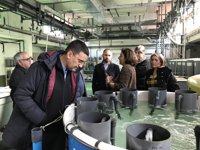 PSOE-A espera acuerdo con Podemos, Cs e IU-CA sobre financiación frente a la actitud "irresponsable" de PP-A