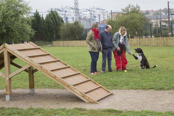 Campaña de control de chips en perros