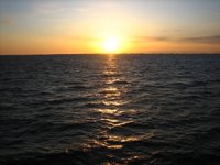 Equo reclama al Gobierno el control de niveles de oxígeno en los mares españoles