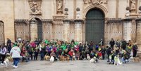 Pacma organiza un paseo proadopción de animales y pide al Ayuntamiento de Jaén que ejecute medidas ya aprobadas en Pleno