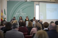 La Junta informa a entidades locales sobre la puesta en marcha de la Renta Mínima de Inserción