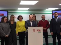 El PSOE de Málaga pone en marcha un grupo de trabajo para mejorar los resultados en las elecciones municipales de 2019