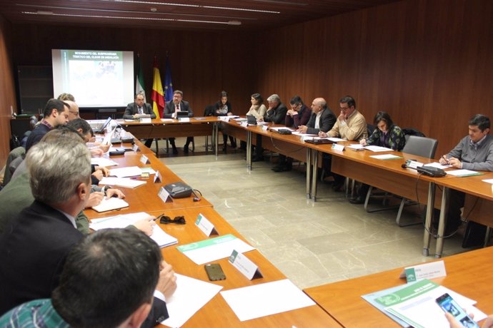 Reunión del Consejo Andaluz del Olivar.