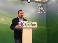 PP-A acusa a Cs de ser "portavoz adjunto" de Susana Díaz y la "muleta" del PSOE-A "para que nada cambie"