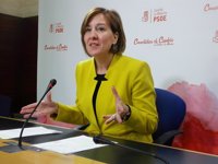 PSOE C-LM cree que este es "un mal día" para el PP porque García-Page "sigue recuperando" la sanidad regional