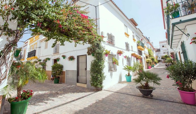 Jardin costa del sol calle tipismo andaluz pueblo estepona ornamental jardinería