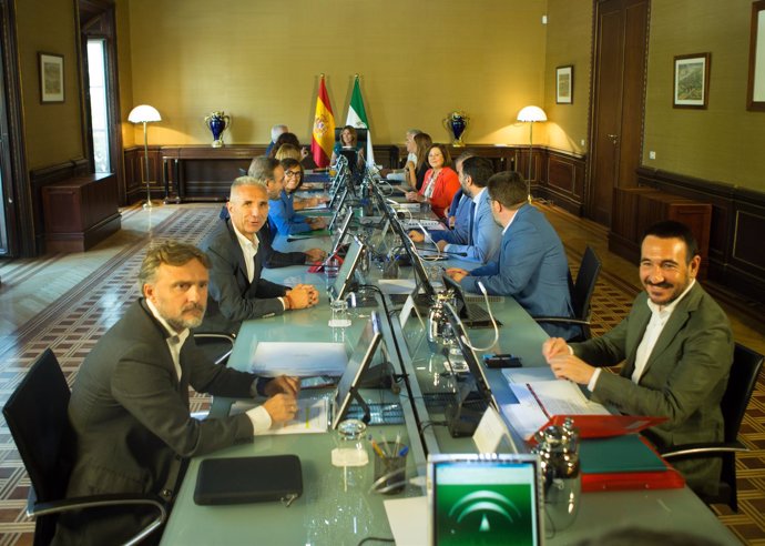 Reunión del Consejo de Gobierno de la Junta