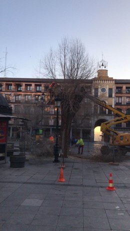 Gmpp Toledo ( Nota De Prensa, Fotografía E Imágenes Plaza Zocodover) Sonsoles Ga