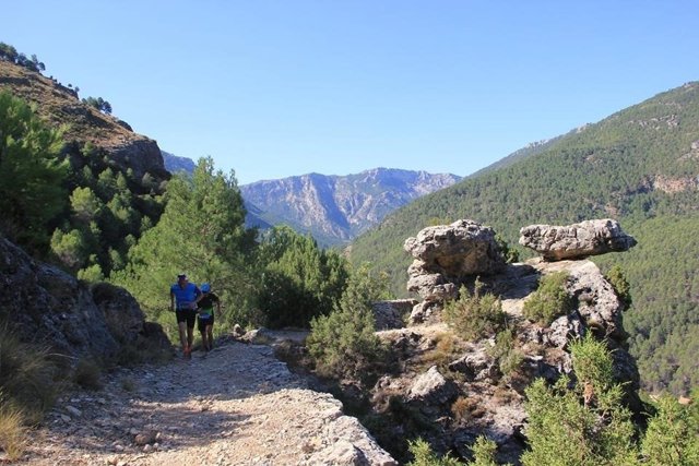 Circuito de carrera por montaña