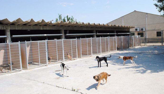 Instalaciones del Centro de Protección Animal de la DPZ en Movera