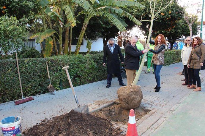 Nota De Prensa Y Foto Plantación Arbolado Distrito Macarena