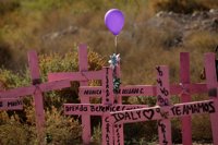 La ONU confía en que la nueva ley permita "pasar página" a las desapariciones forzadas en México