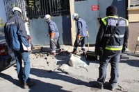 Cuatro detenidos de uno de los mayores grupos cultivadores de marihuana de El Ejido