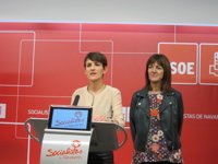 PSN y PSE-EE ven necesario la firma de un convenio con el Estado para desarrollar el TAV en Navarra