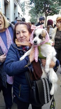 La iglesia de San Antón espera recibir hoy la visita especial de 18.000 animales para ser bendecidos por el Padre Ángel