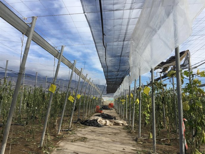 Daños por tornados en un invernadero