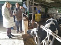 Mercedes Fernández asegura que prorrogar una gestora local en Avilés "no es una cosa inusual"