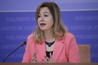 Podemos ve "bases" para llegar a un consenso sobre el modelo de financiación