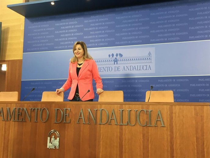 La diputada de Podemos Andalucía Carmen Lizárraga en rueda de prensa