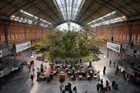 El estanque de la estación de Atocha será pavimentado y sus más de 300 tortugas trasladadas a un centro en Navas del Rey