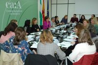 El CAA reclama avances en la legislación para combatir la discriminación de la mujer en los contenidos audiovisuales