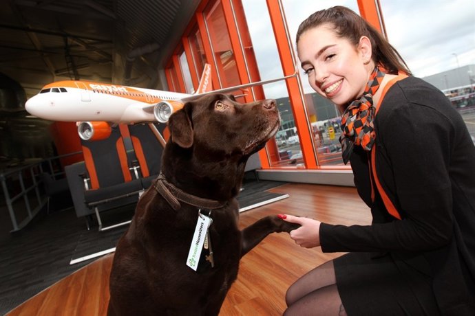 La británica easyJet se alía con TrustedHousesitters