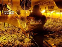 Cinco detenidos en Burgos tras demantelarse una vivienda dedicada al cultivo de marihuana