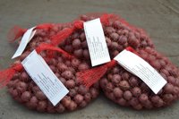 Tenerife organiza una subasta de papas negras en 'Madrid Fusión'