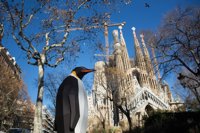 Greenpeace reclamará mañana la protección del océano Antártico en 16 ciudades españolas