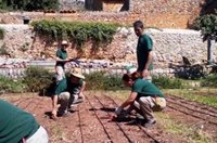 El IMAS inicia el programa de formación y ocupación Raixa 2018 para personas con discapacidad mayores de 30 años