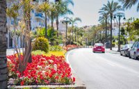 Ayuntamiento de Estepona adjudica el contrato de mantenimiento de playas y jardines por más de cinco millones de euros