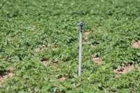 Regantes andaluces piden que el decreto de sequía estatal contemple indemnizaciones a perjudicados por cambios en el uso