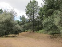 Más de 29.000 personas pasan en 2017 por los centros de visitantes de los espacios protegidos de Córdoba