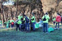 Voluntarios lanzarán 'ecobolas' de semillas para reforestar la zona del incendio de Doñana