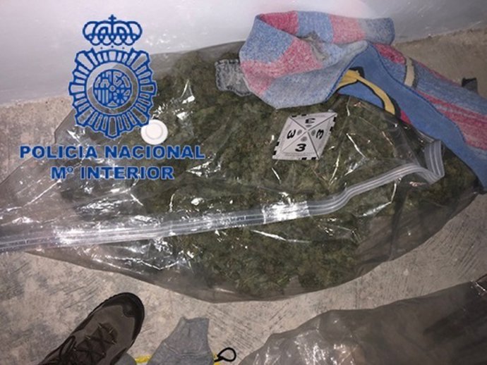 Nota De Prensa Y Fotografía: "La Policia Nacional Detiene A Un Joven Y Su Madre 