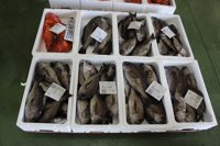 Las exportaciones de productos pesqueros alcazan los 284 millones hasta octubre