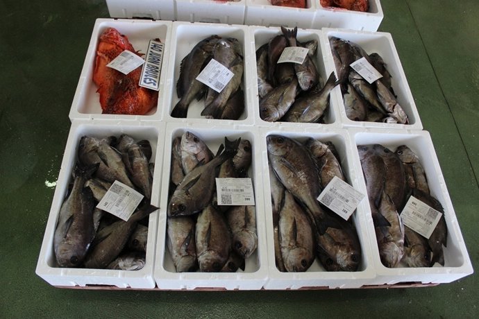 Nota De Prensa Agricultura (Exportaciones Pesca)