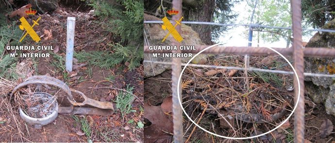 Imagen del cepo decomisado en Burgos