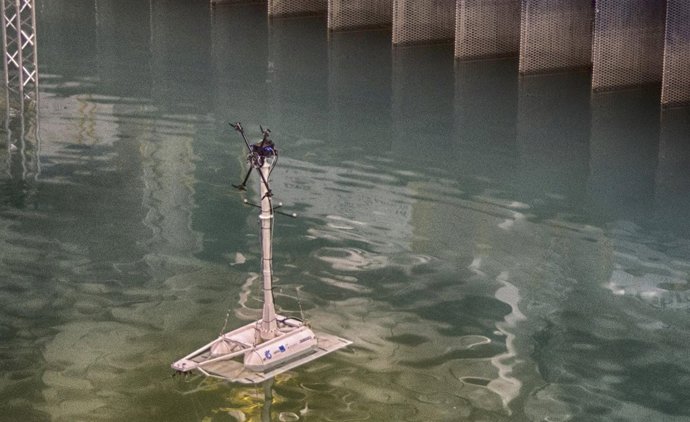 Ensayos de la plataforma SATH en el tanque del IH