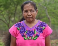 Ataque a periodistas que seguían a Marichuy, la candidata indígena a las elecciones de México