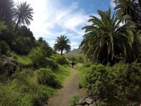 El Cabildo de Tenerife invertirá dos millones de euros este año en el Parque Rural de Anaga