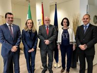 Empresas.- Un nuevo programa de becas de Roche destinará 300.000 euros a proyectos de onco-hematología en Andalucía