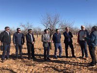 PP lamenta que enmiendas Ley del Mar Menor presentadas por oposición "hacen retroceder el modelo agrícola 40 años"